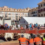 【DAY255・スペイン】マドリードの牛追い祭りへ🐂🐃🐄屋外シネマにて無料映画鑑賞🎬