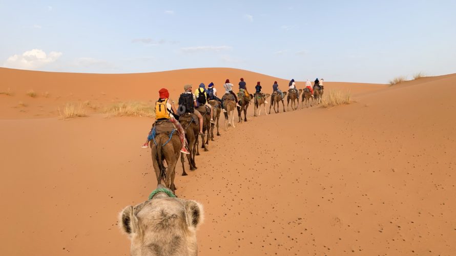 【DAY274・モロッコ】フェズからシェアタクシーでメルズーガへ移動🚖砂漠ツアーに参加🐫