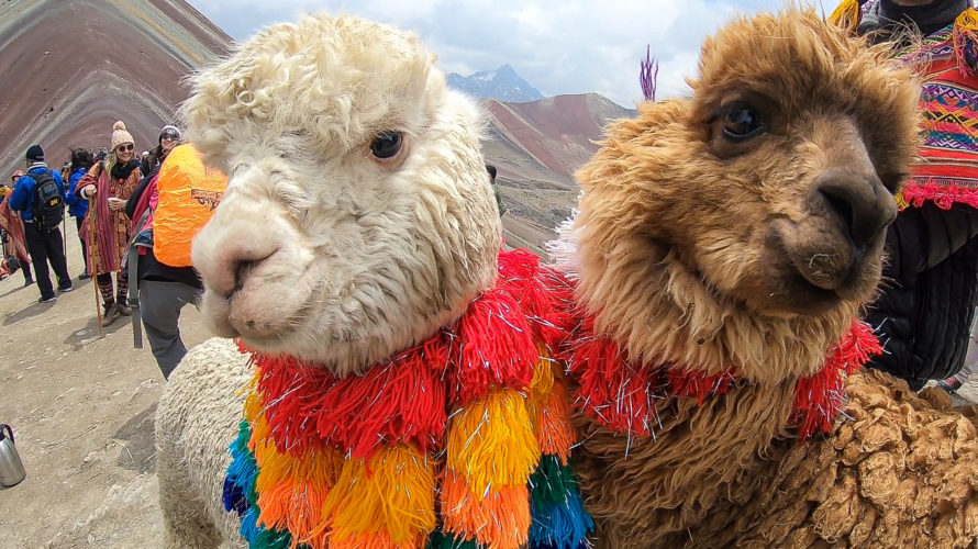 【DAY354・ペルー 】クスコから日帰りツアーで絶景「レインボーマウンテン」へ⛰